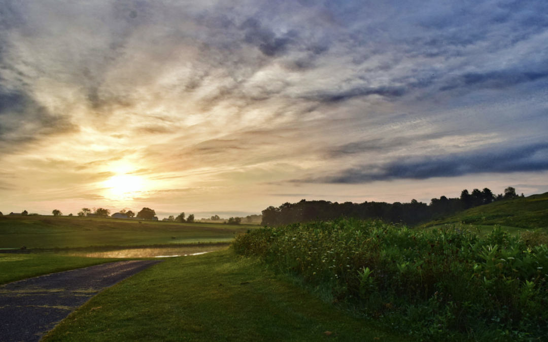 Spring Events at Olde Homestead