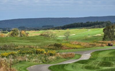 How does Olde Homestead keep its 250-acre golf course maintained?