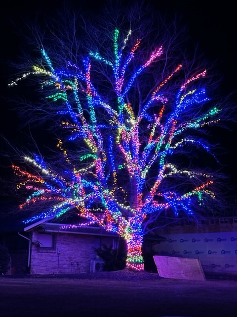 Magic Tree - OLDE HOMESTEAD GOLF CLUB