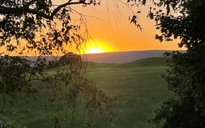 Summer Family Fun at Olde Homestead